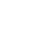 public safety_white-01