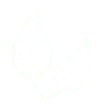 sustainable-01