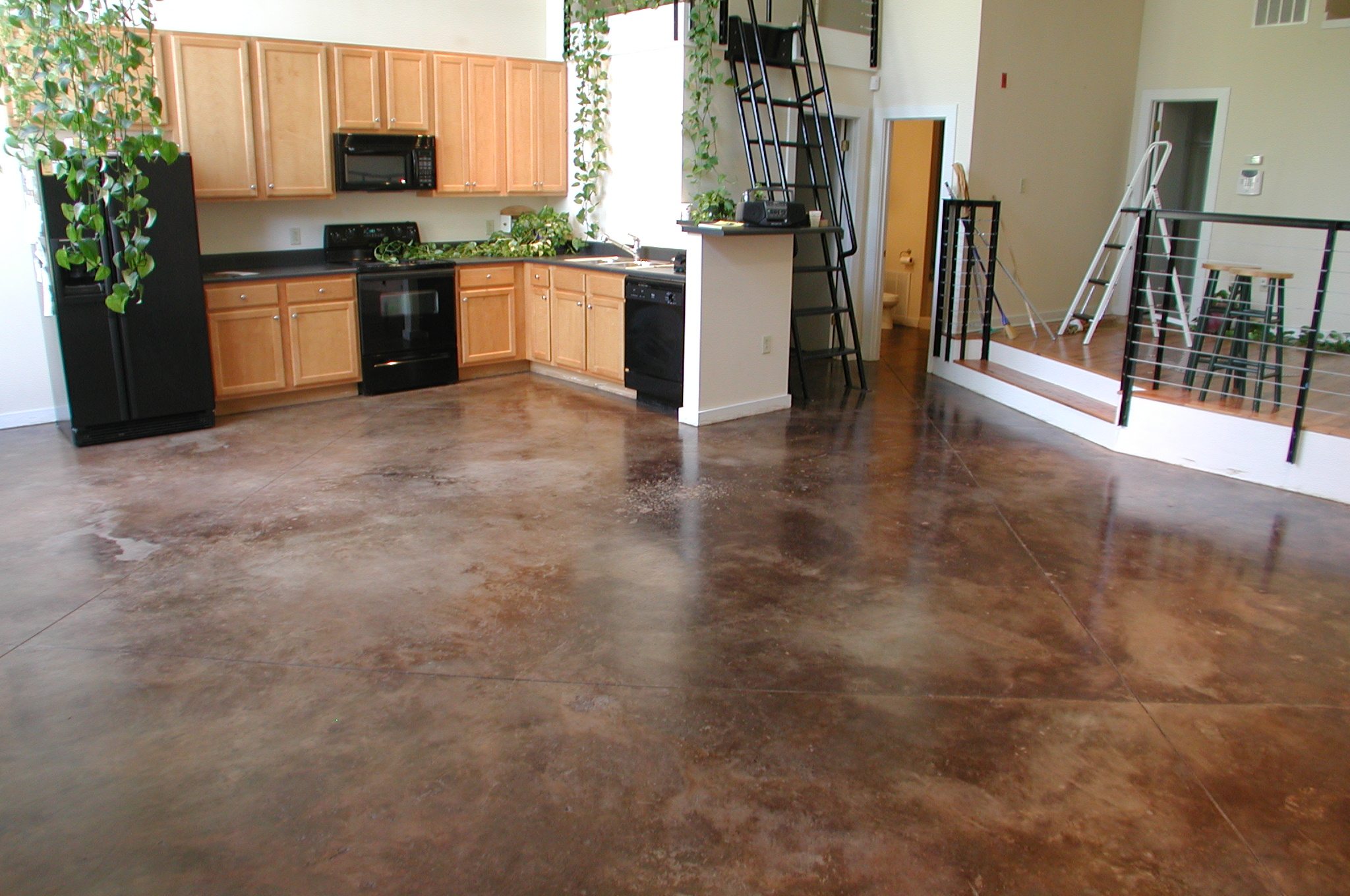 Sustainable Flooring Options The Concrete Protector